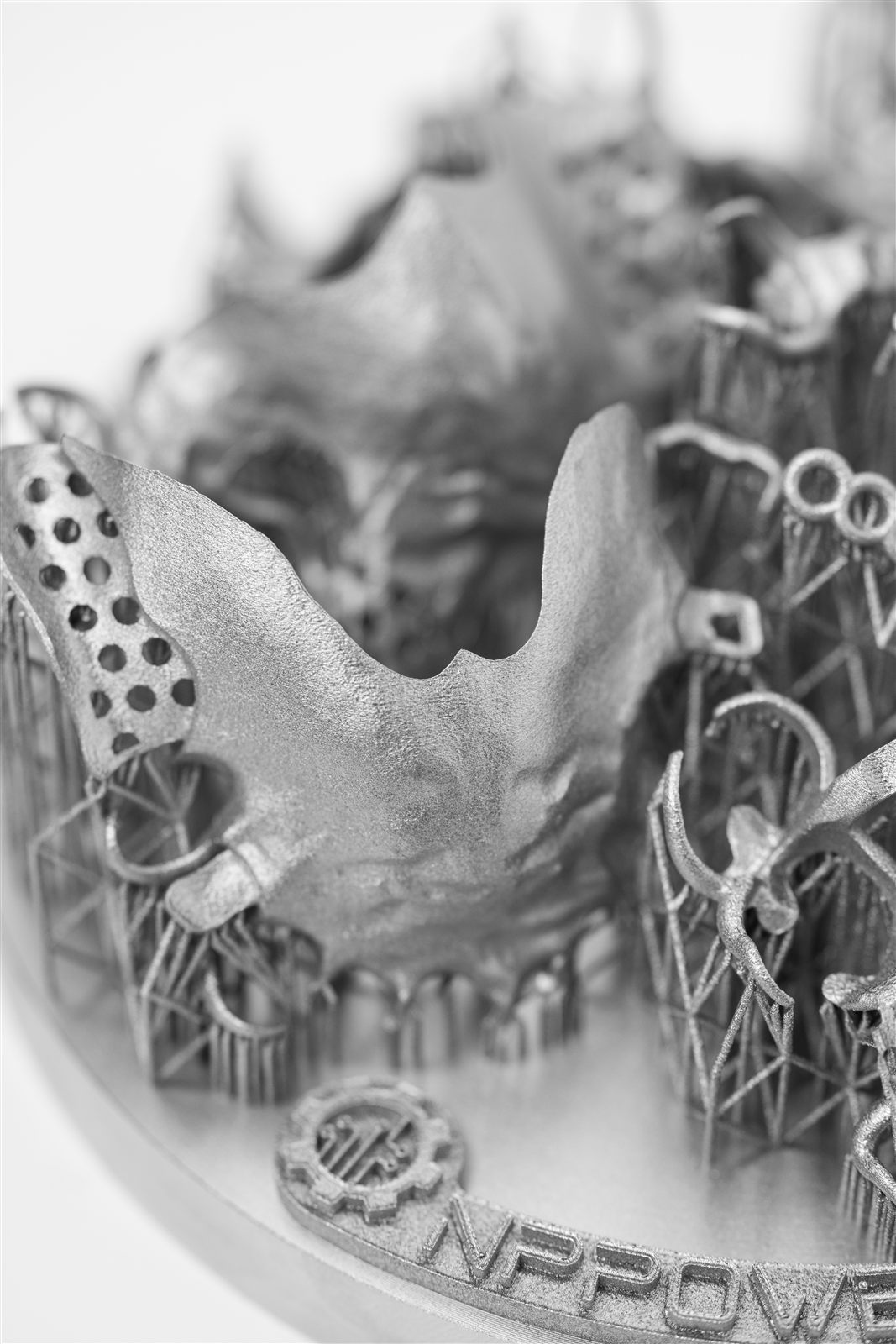 Metal partial denture framework printed on lattice supports on the Malachite build plate